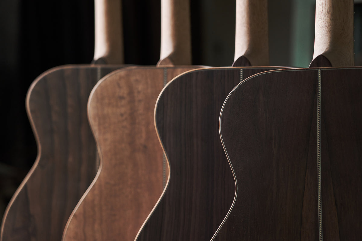 Back woods Orchestra