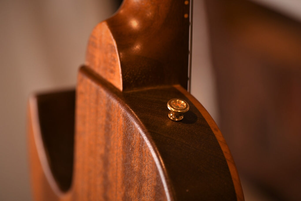 Heel and upper strap button close up