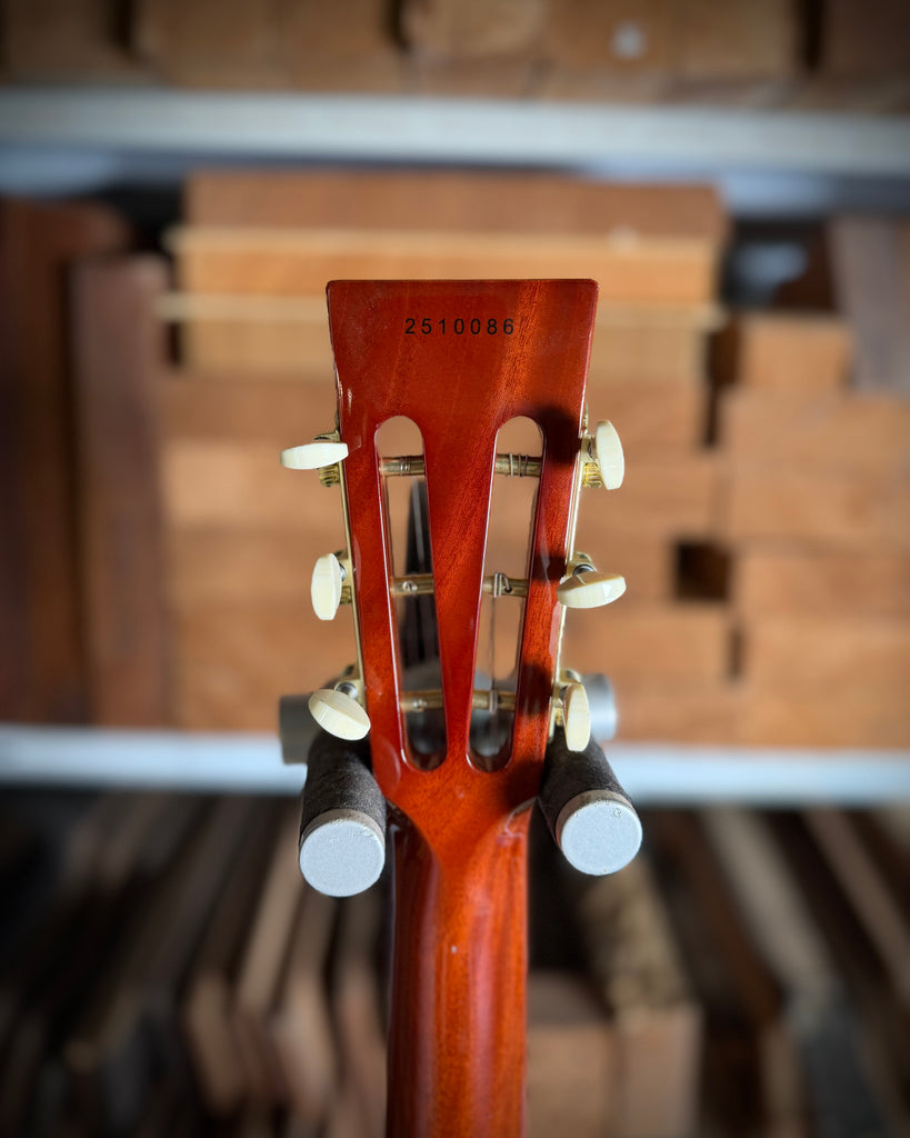 Private Build Little Sister Classic Non-Cutaway