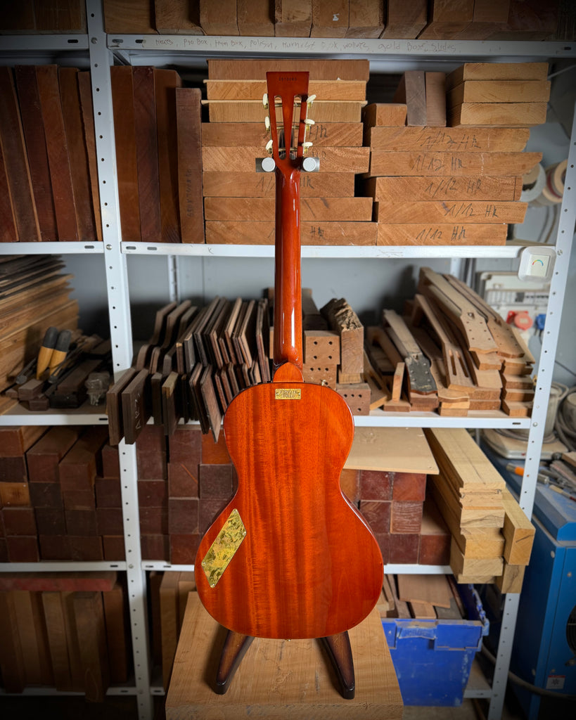 Private Build Little Sister Classic Non-Cutaway