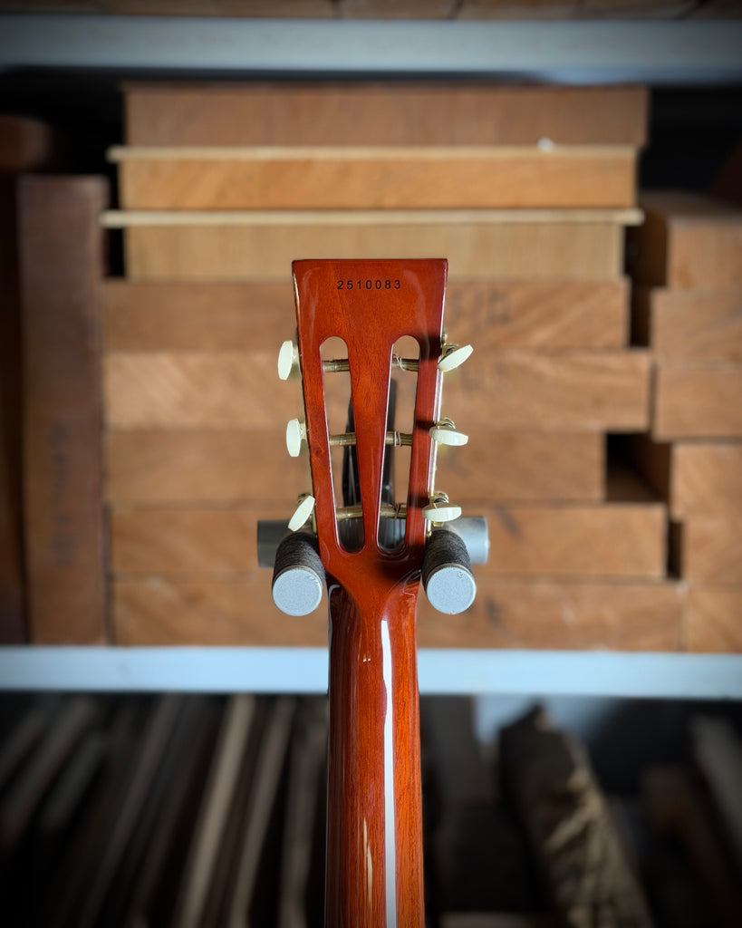 Private Build Little Sister Classic Non-Cutaway