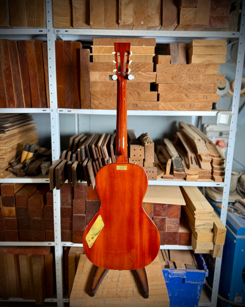 Private Build Little Sister Classic Non-Cutaway